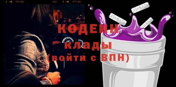 дурь Туринск